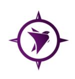 Logo of Visionary Compass Accelerator Program